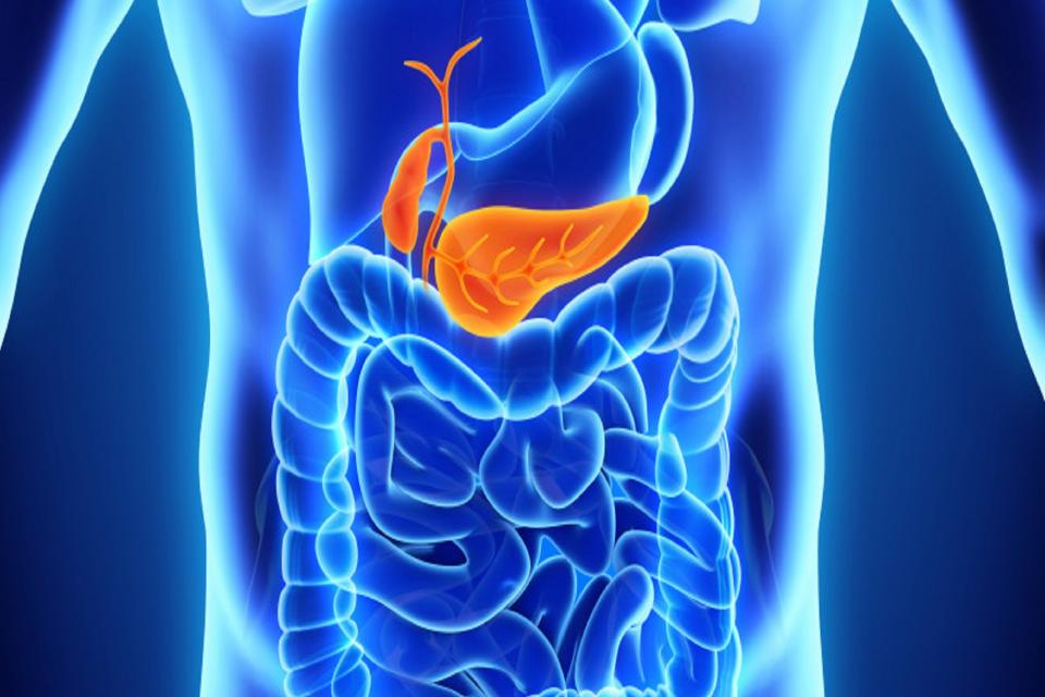 Pancreas endocrino